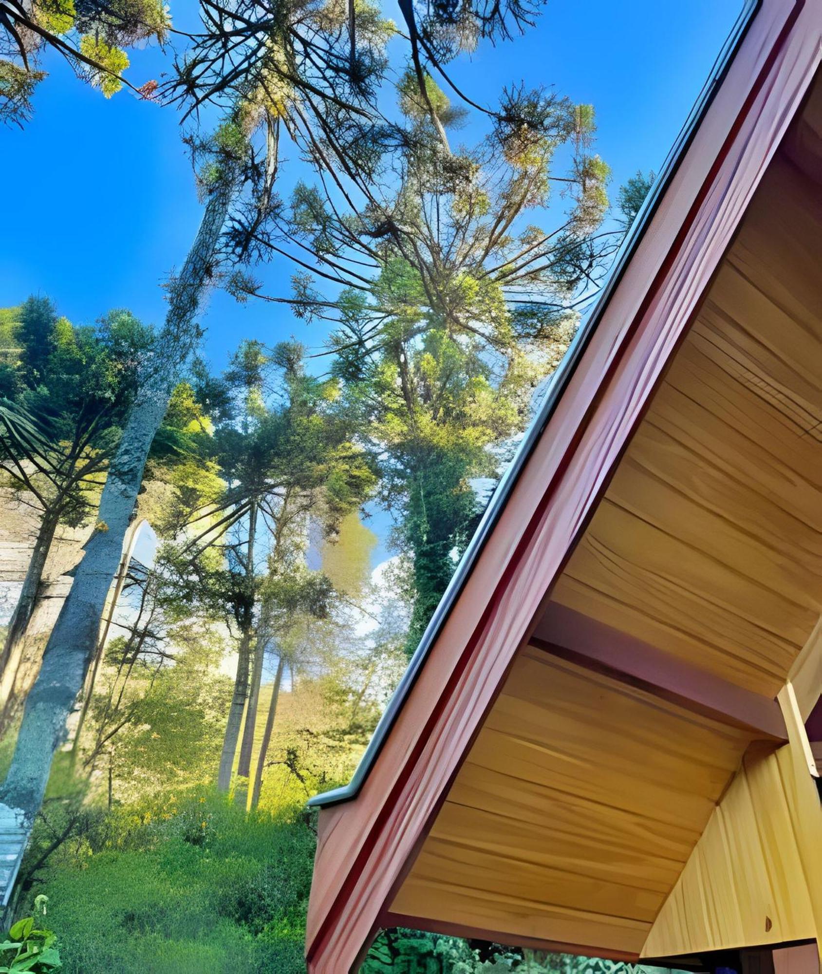 Cabana Suspensa Na Natureza - Regiao Turistica Campos do Jordão Kültér fotó