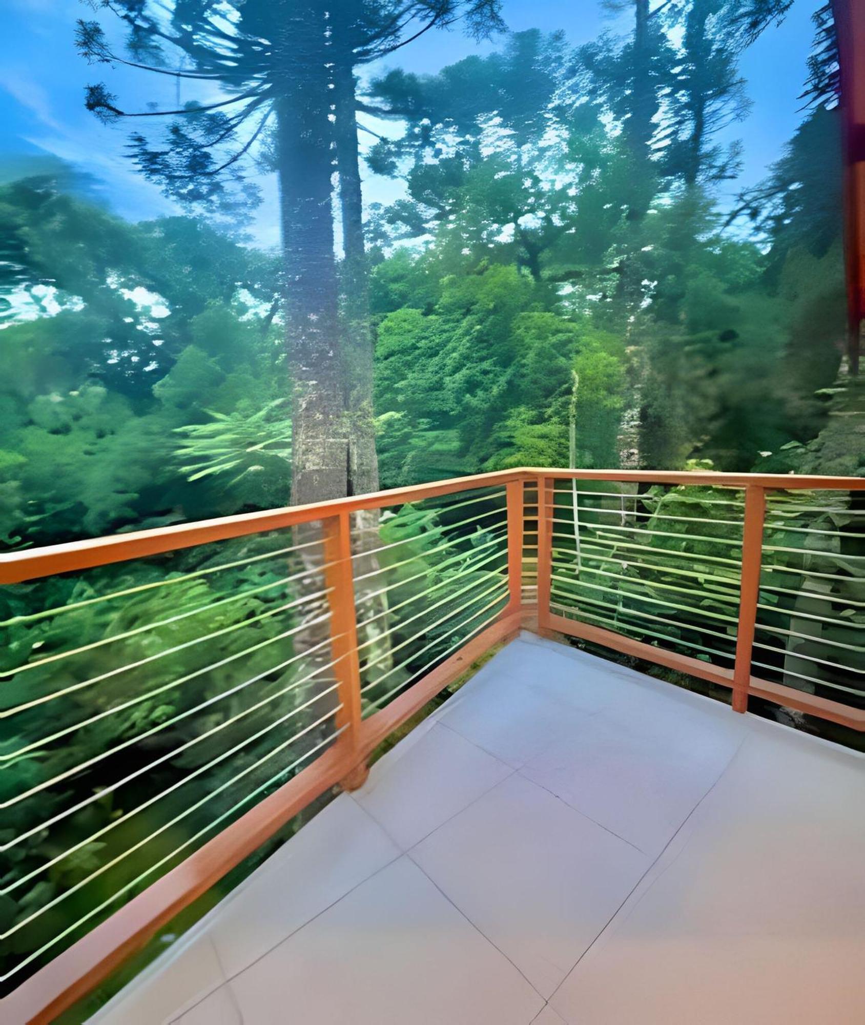 Cabana Suspensa Na Natureza - Regiao Turistica Campos do Jordão Kültér fotó