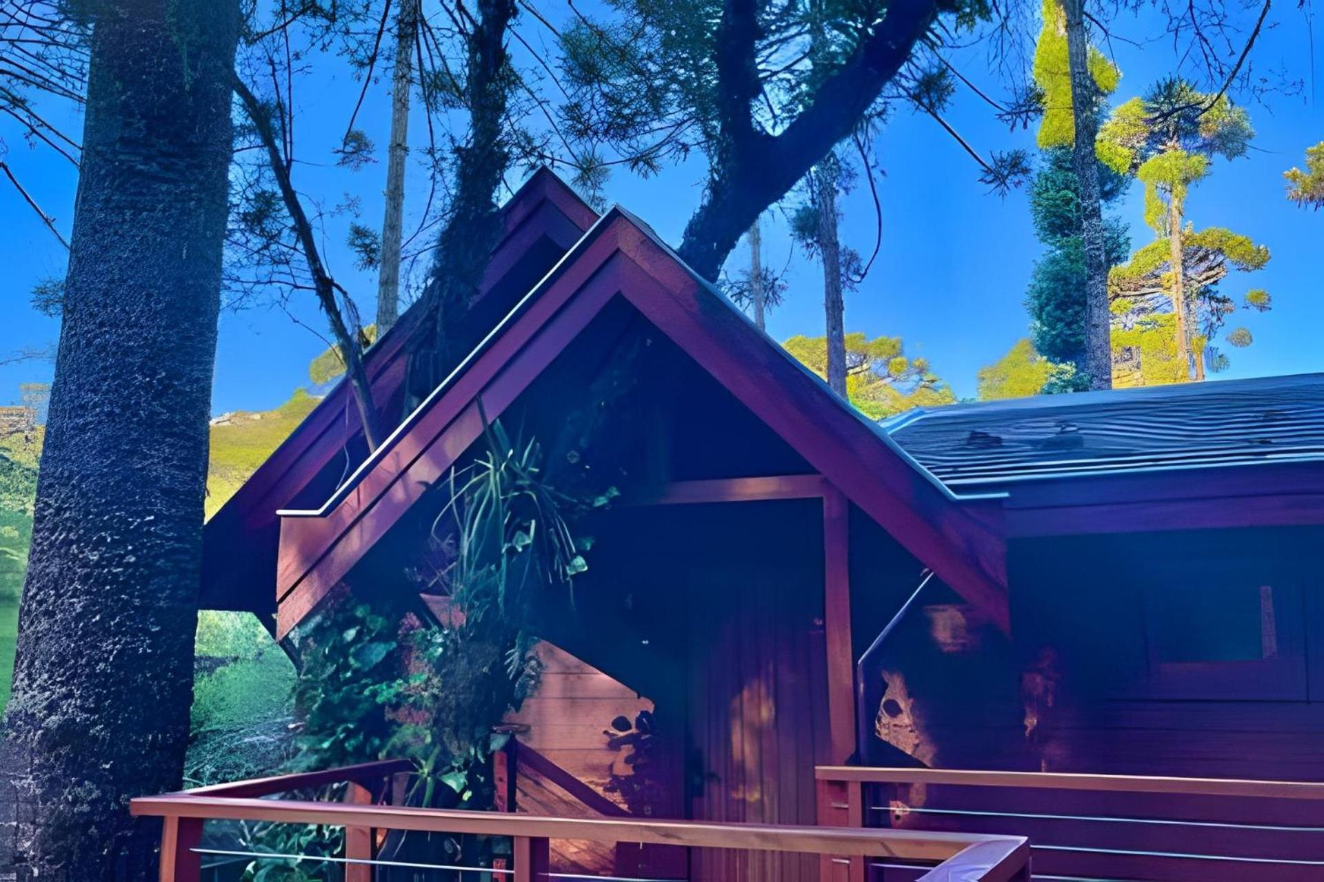 Cabana Suspensa Na Natureza - Regiao Turistica Campos do Jordão Kültér fotó